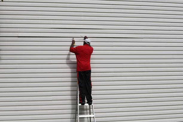 Best Shed Removal  in Polo, IL