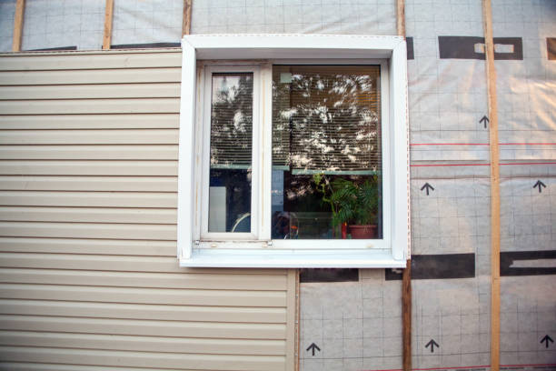 Same-Day Junk Removal Services in Polo, IL